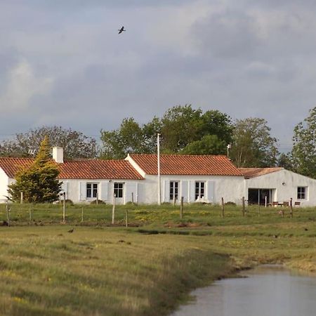 Maison De Charme Au Coeur Des Marais Pour 6 Pers. Bouin  Zewnętrze zdjęcie