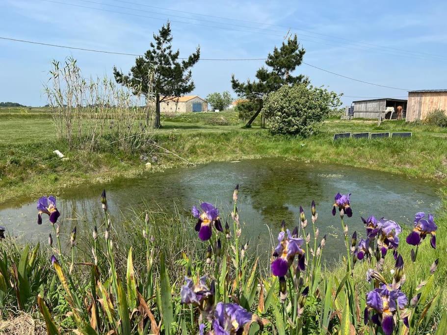 Maison De Charme Au Coeur Des Marais Pour 6 Pers. Bouin  Zewnętrze zdjęcie